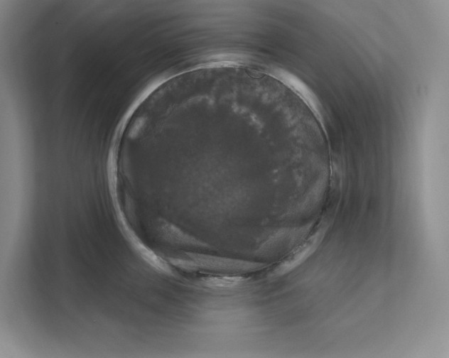 X0000111580859200907301403