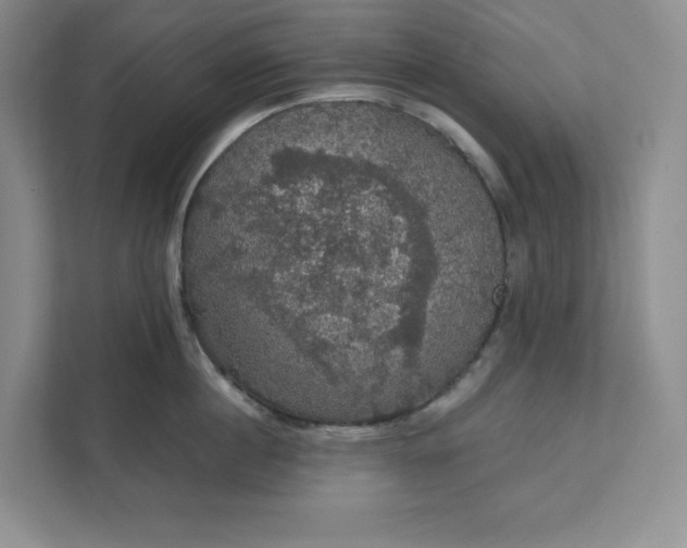 X0000111580860200907301403