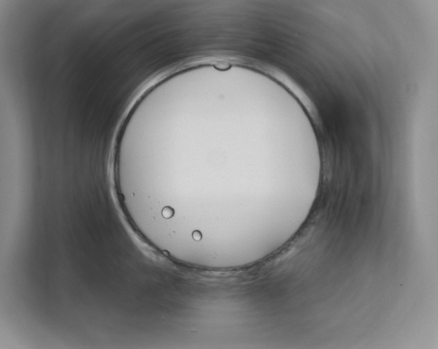 X0000111580861200907301403