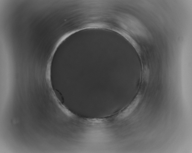 X0000111580862200907301403