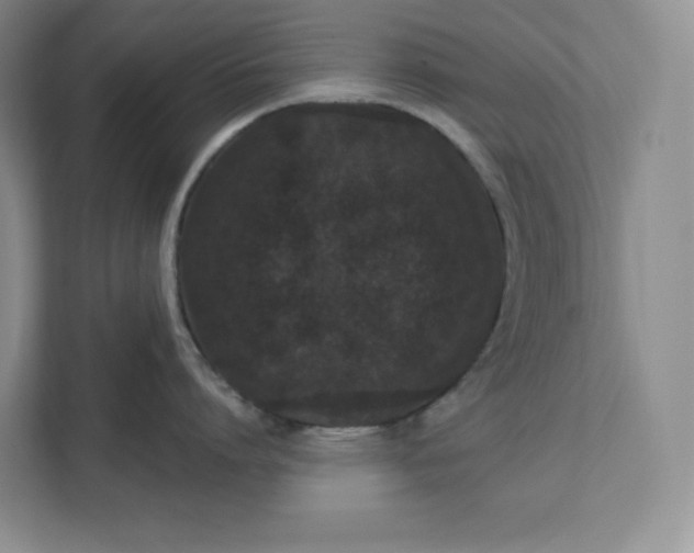 X0000111580864200907301403