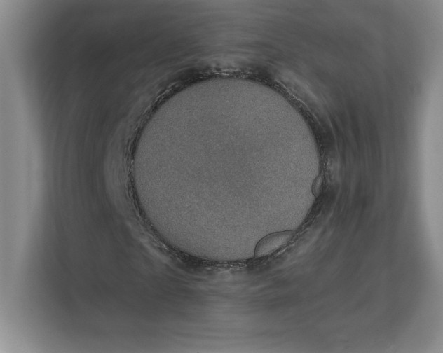 X0000111580865200907301403