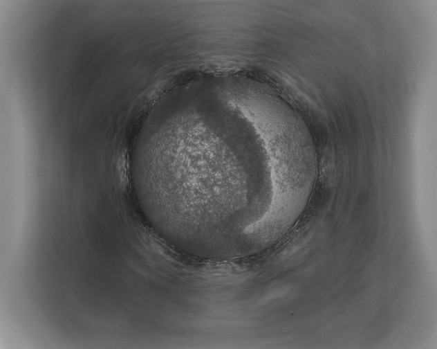 X0000111580866200907301403