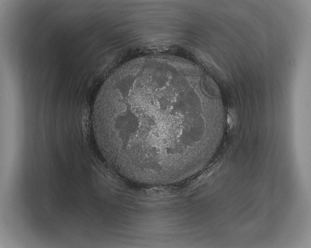 X0000111580867200907301403