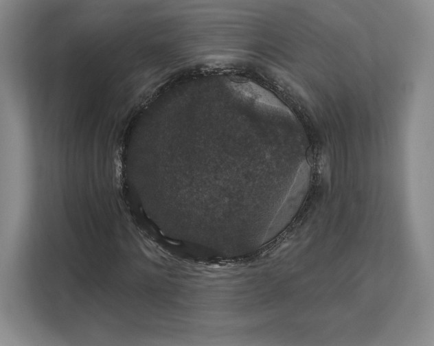 X0000111580868200907301403