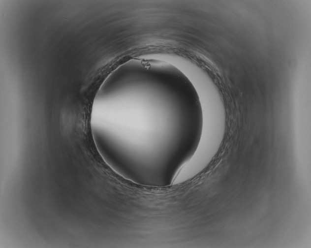 X0000111580869200907301403