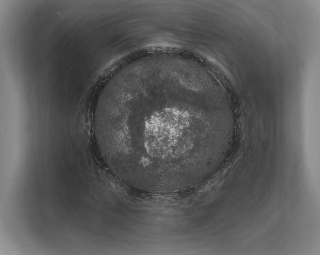 X0000111580870200907301403