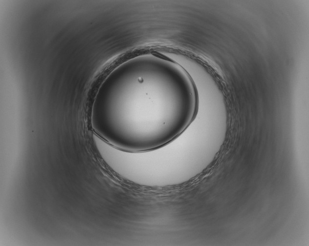 X0000111580872200907301403