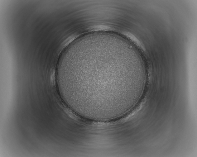 X0000111580873200907301403