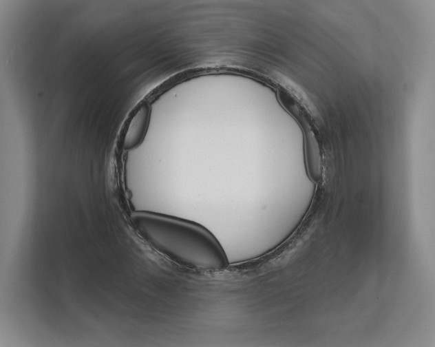 X0000111580876200907301403