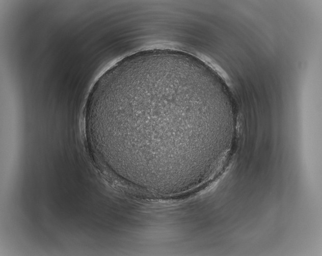 X0000111580877200907301403