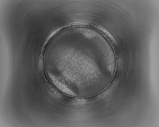 X0000111580878200907301403