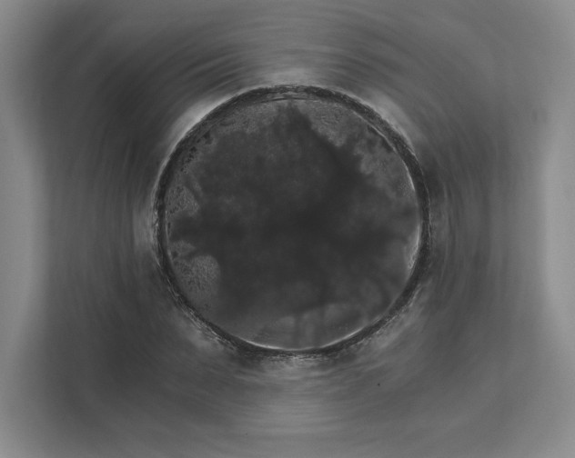 X0000111580879200907301403