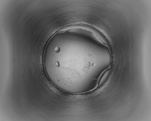 X0000111580881200907301403