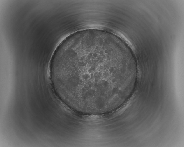 X0000111580883200907301403