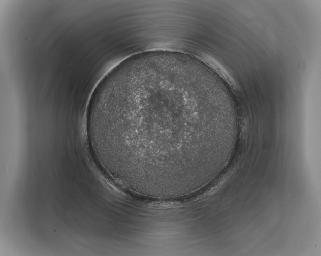 X0000111580884200907301403