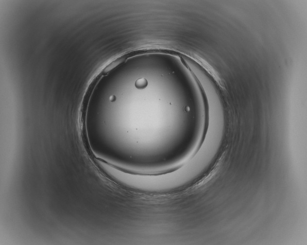 X0000111580885200907301402