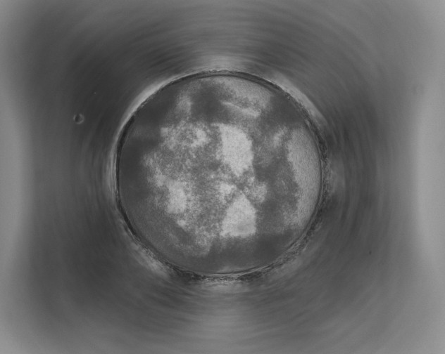 X0000111580886200907301402