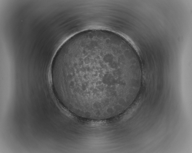 X0000111580887200907301402