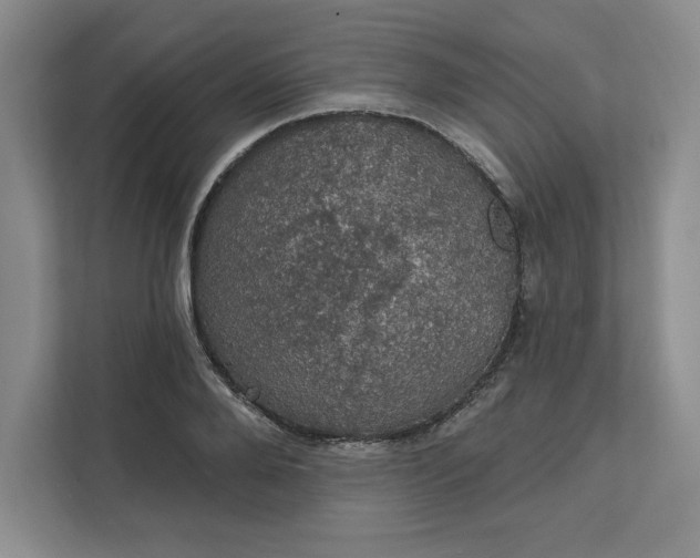 X0000111580888200907301402