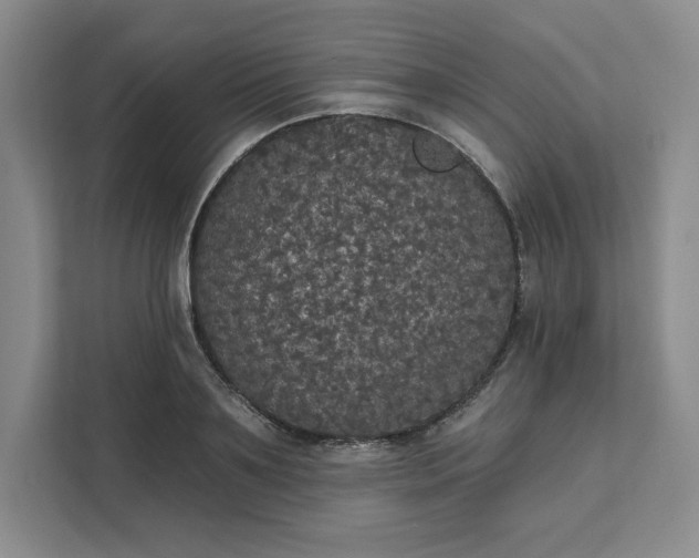 X0000111580891200907301402