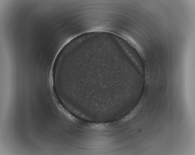 X0000111580892200907301402