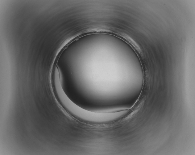 X0000111580893200907301402