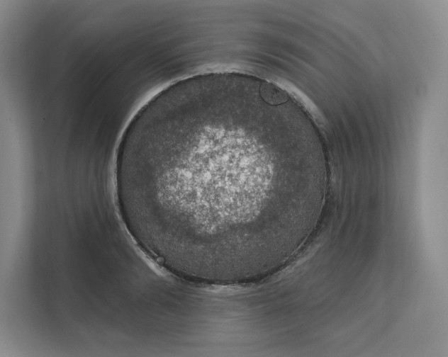 X0000111580894200907301402