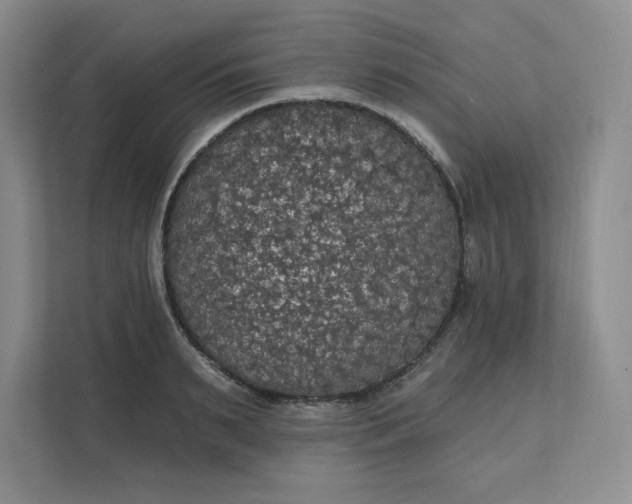 X0000111580895200907301402