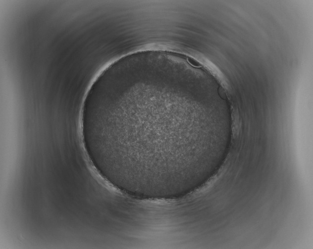 X0000111580896200907301402