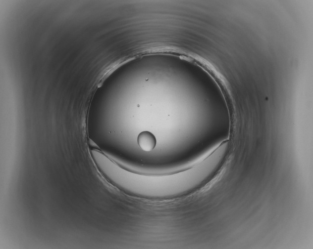 X0000111580897200907301402