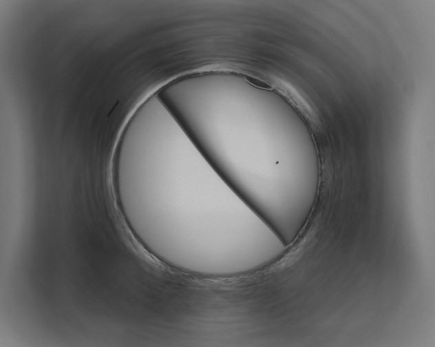 X0000111580900200907301402