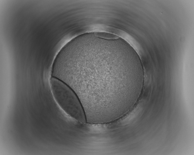 X0000111580901200907301402