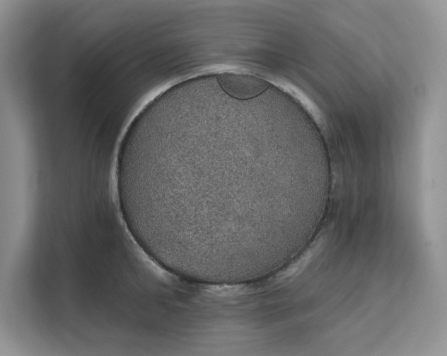 X0000111580902200907301402