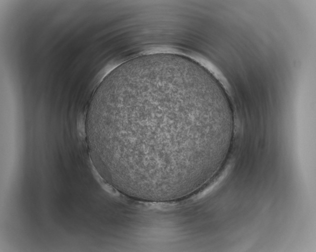 X0000111580905200907301402