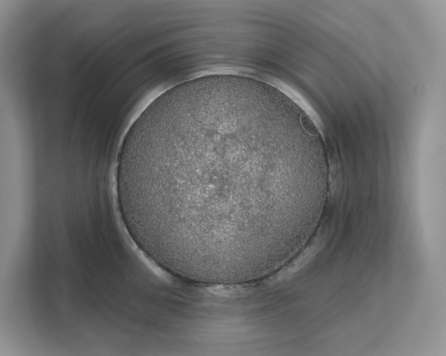 X0000111580906200907301402