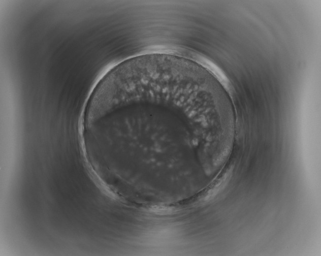 X0000111580907200907301402