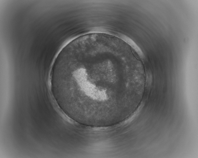 X0000111580908200907301402