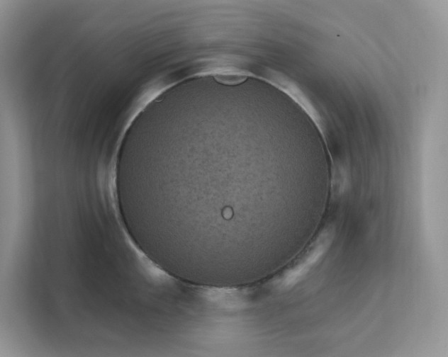 X0000111580909200907301402