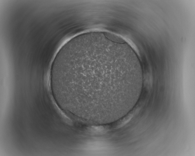 X0000111580911200907301402