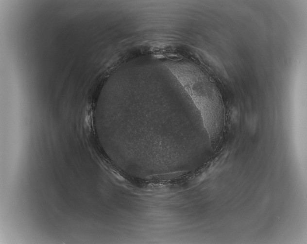 X0000111580914200907301401