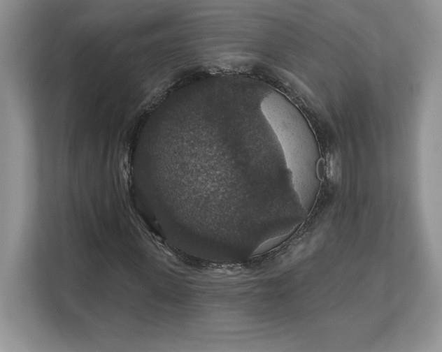 X0000111580915200907301401