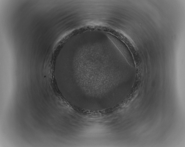 X0000111580919200907301401