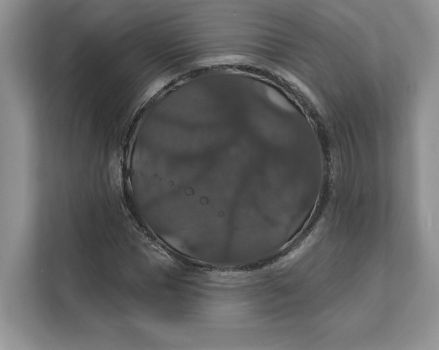 X0000111580921200907301401