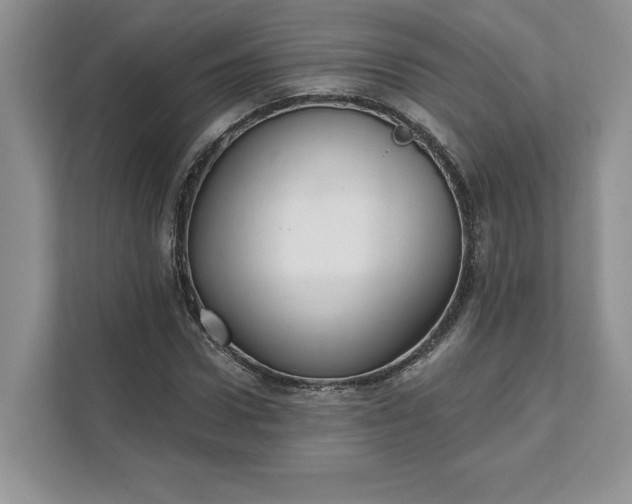 X0000111580922200907301401