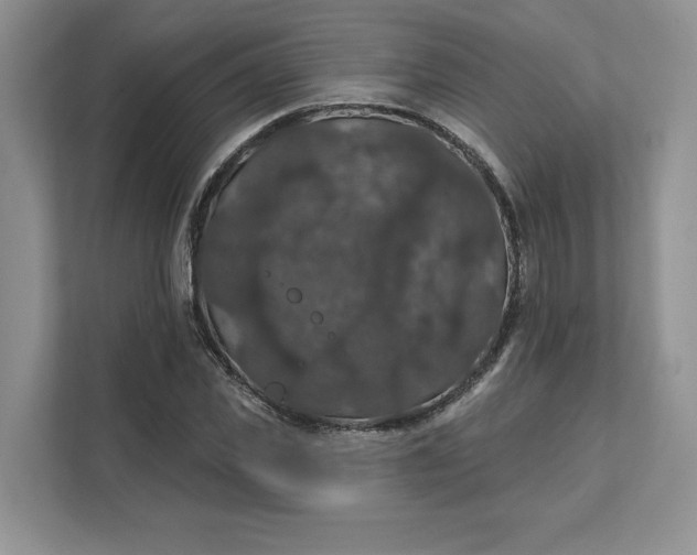 X0000111580925200907301401