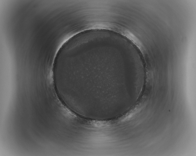 X0000111580928200907301401