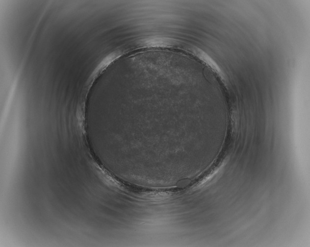 X0000111580930200907301401