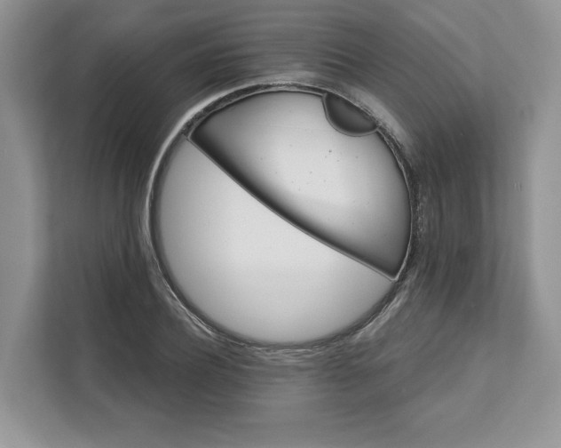 X0000111580932200907301401