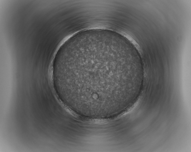 X0000111580933200907301402